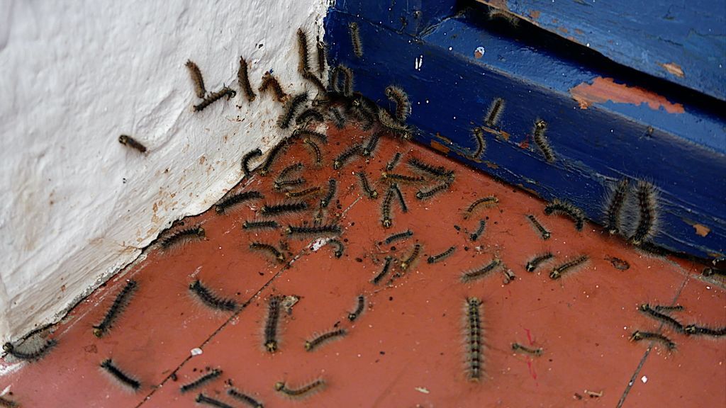 El alfeizar de una ventana