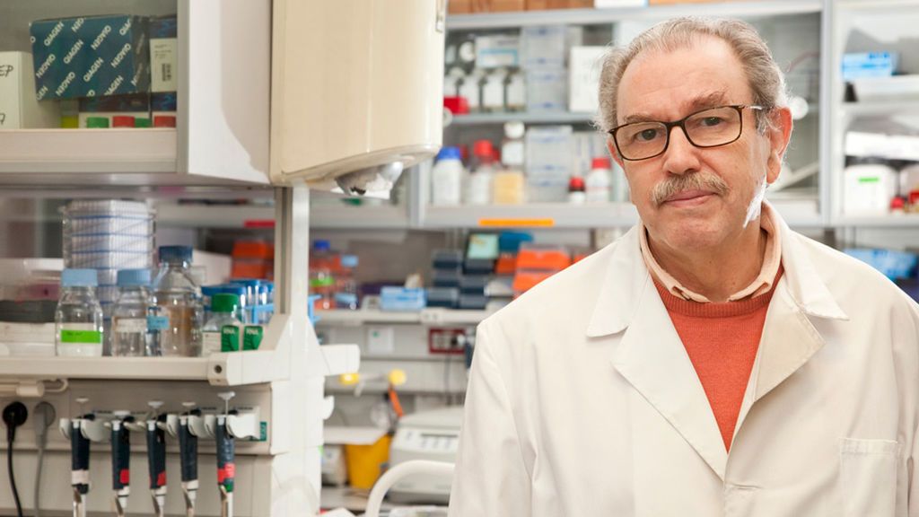 Vicente Larraga, investigador de una vacuna contra el coronavirus: "La población en general no se podrá vacunar hasta 2022" Vicente Larraga, investigador de una vacuna contra el coronavirus: "La población en general no se podrá vacunar hasta 2022"