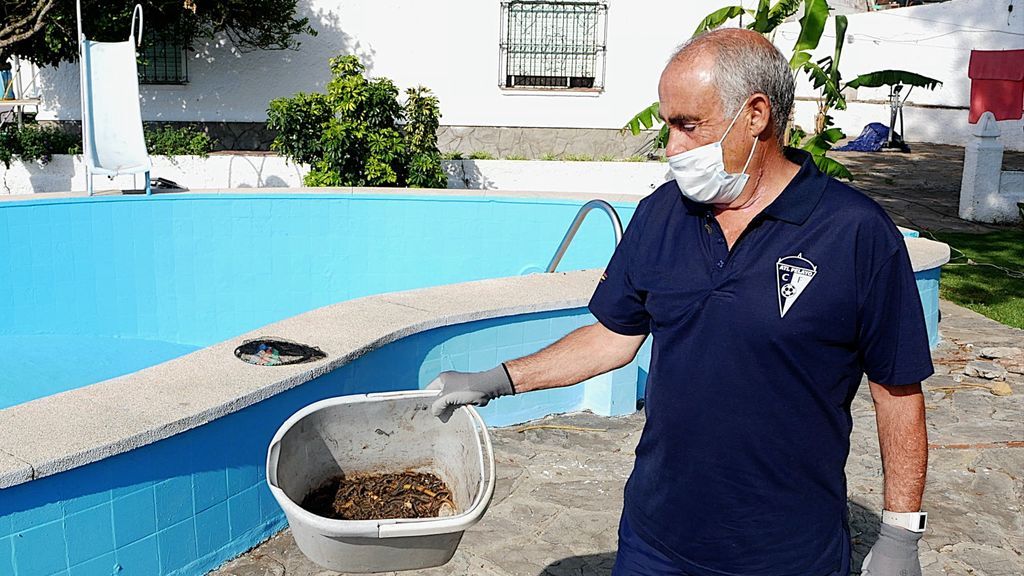 Juan y su cubo de orugas