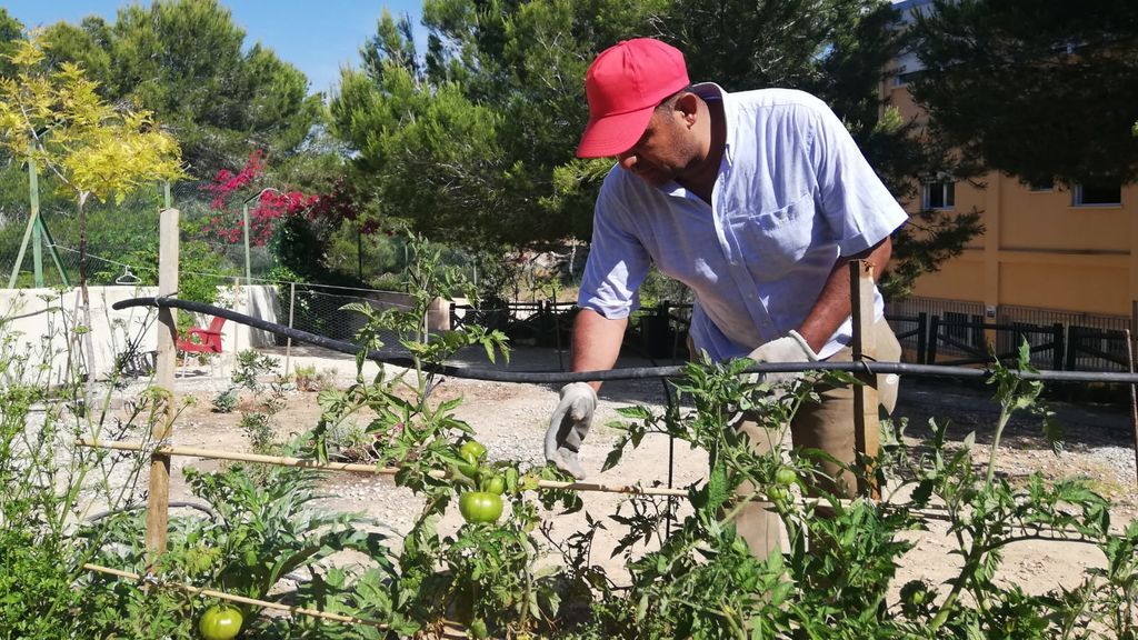 John cuidando el huerto