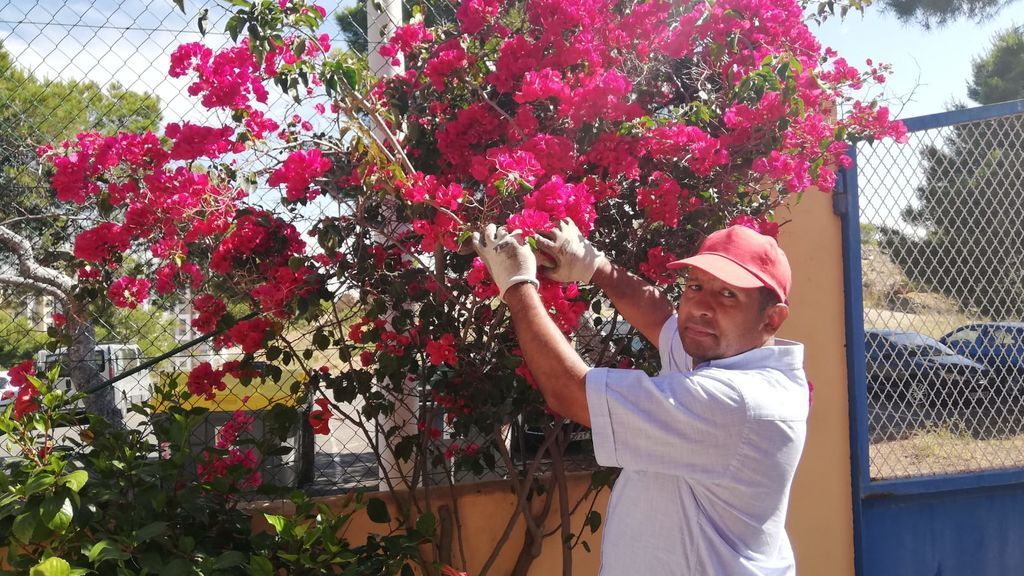 John cuida las flores que ha plantado