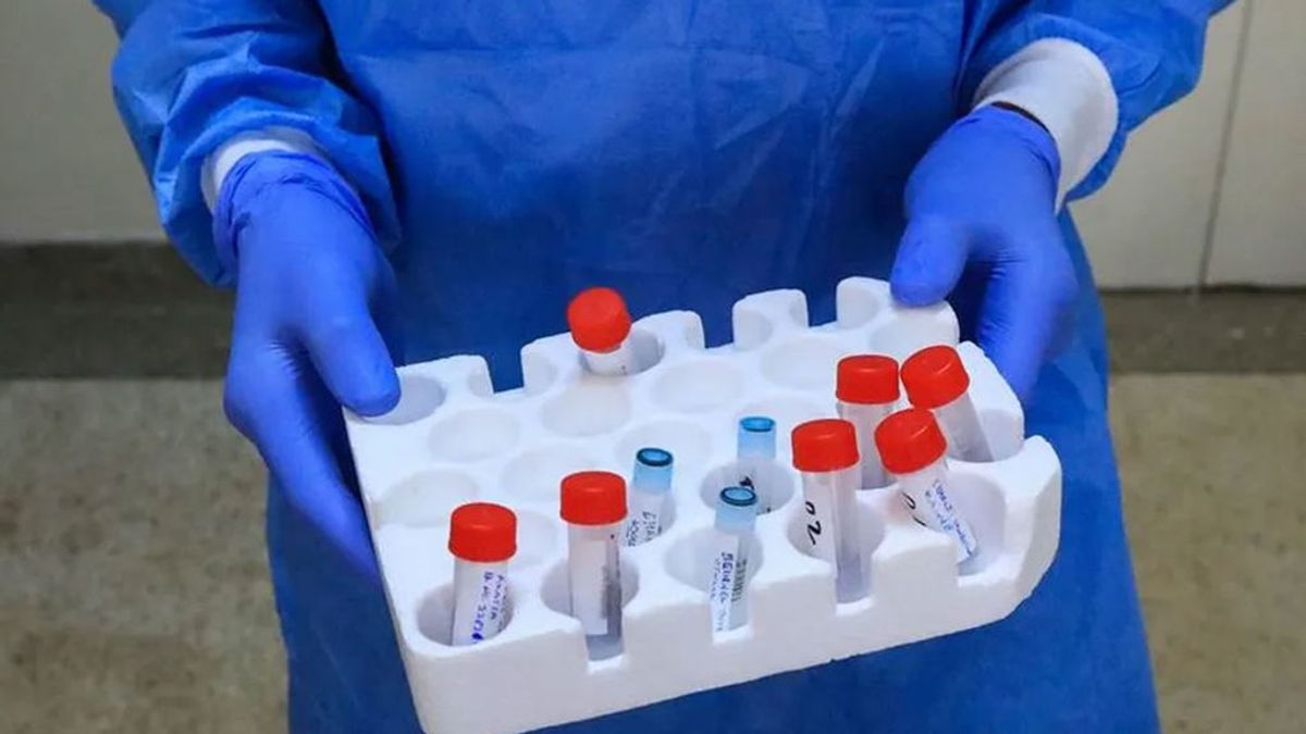 Investigadores usarán la edición genética para destruir el corazón del coronavirus