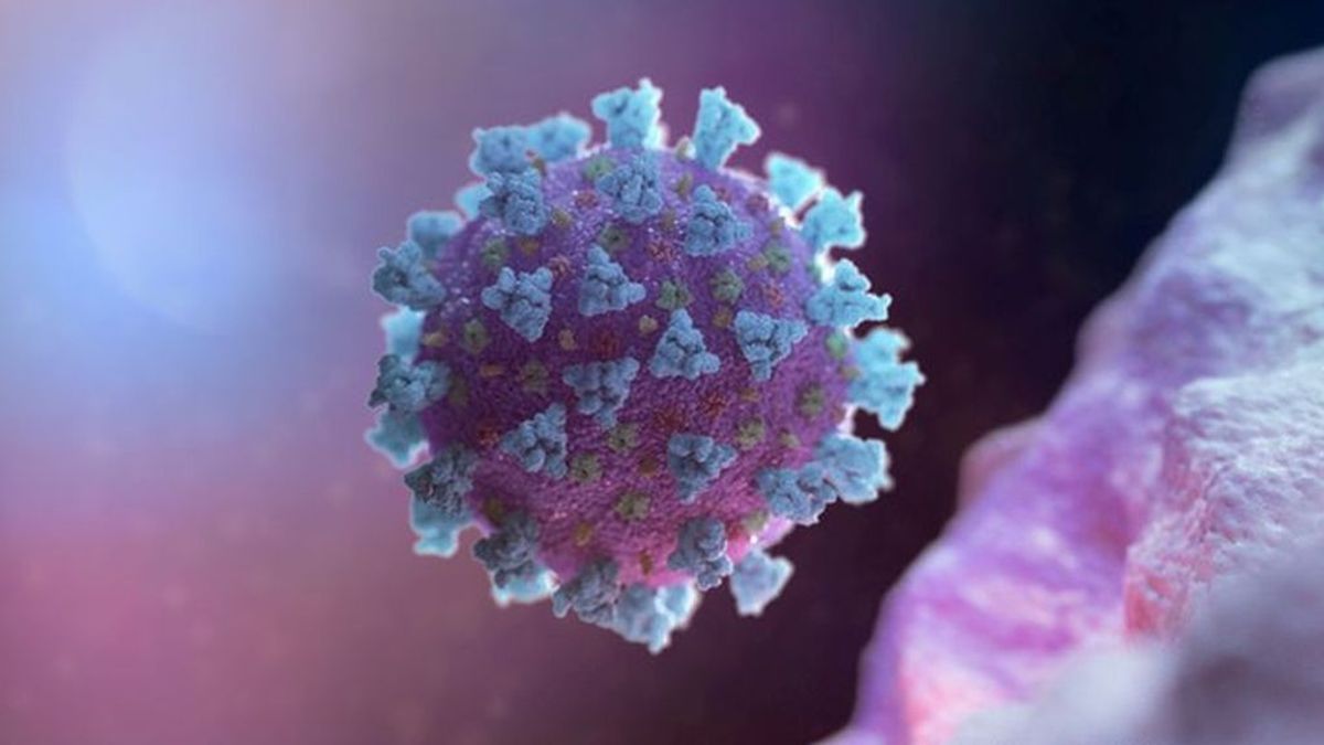 El coronavirus es capaz de engañar a las defensas de nuestro cuerpo porque tiene una proteína humana