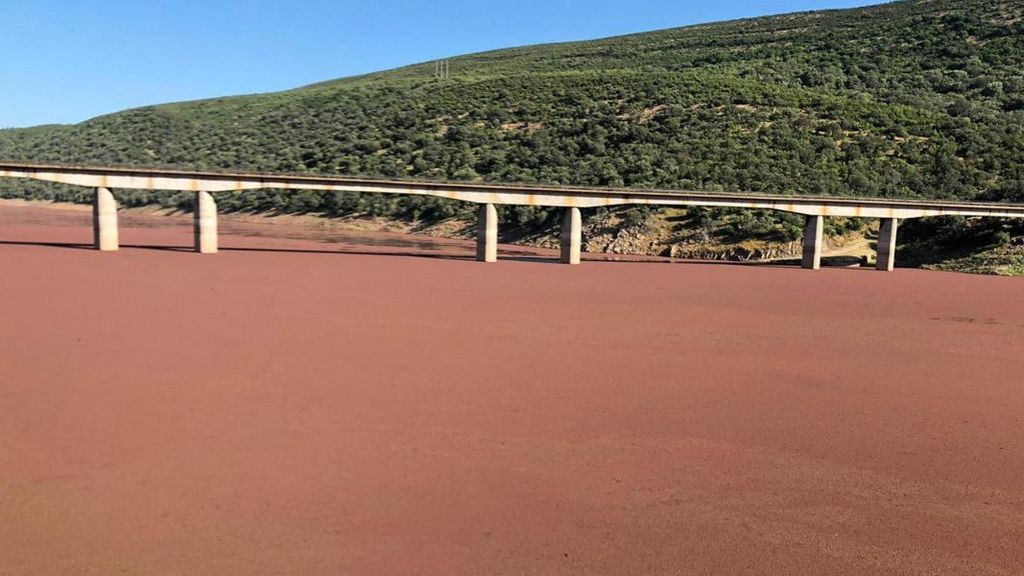 Río tajo cubierto por la azolla, la especie invasora