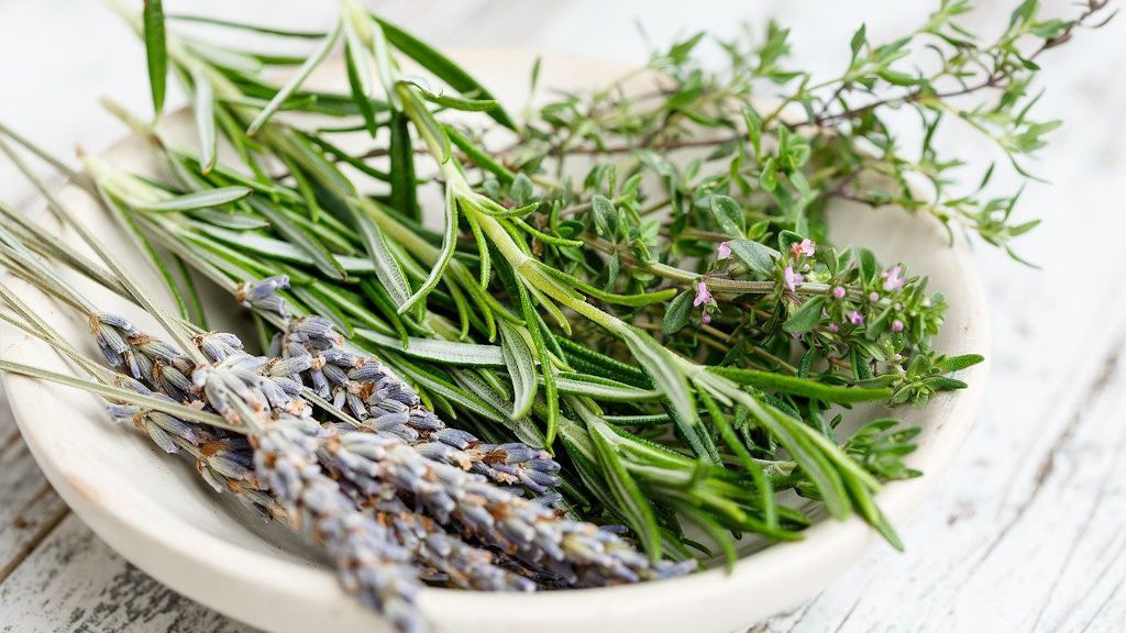 Plantas aromáticas para tu jardín que te ahuyentarán los insectos