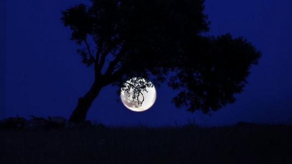 Disfruta de las imágenes que deja la luna de fresa - Portugal