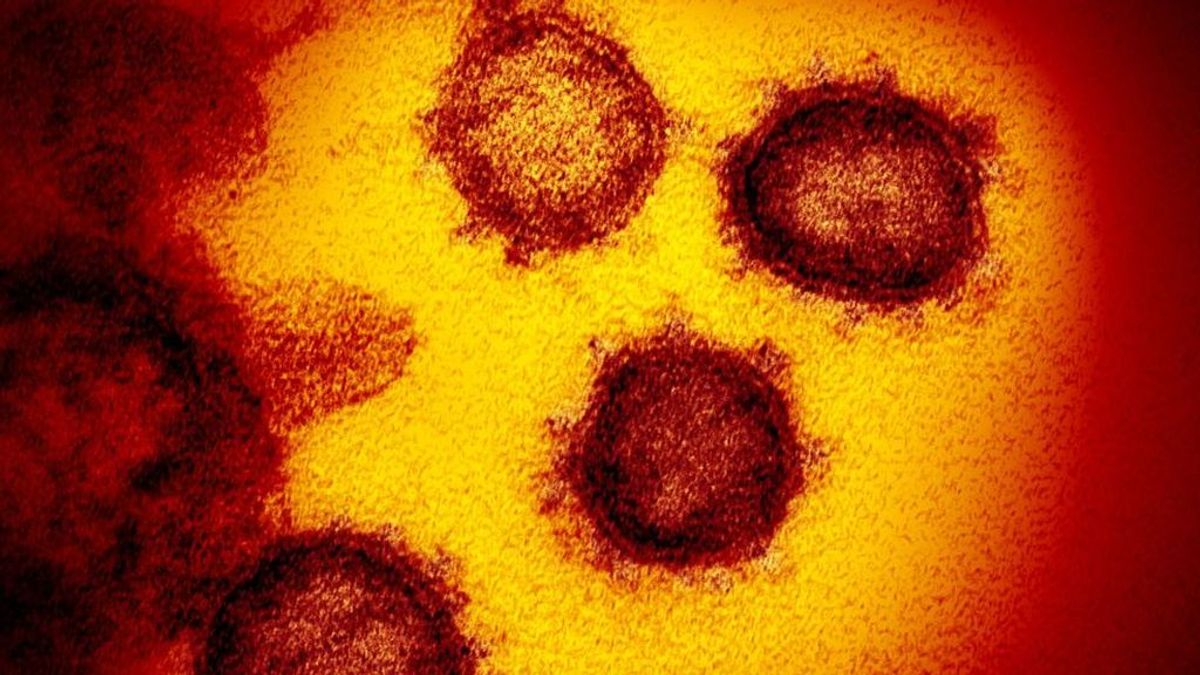 Un experto italiano dice que el coronavirus tiene ahora 100 veces menos carga viral: "Es como si hubiera envejecido"