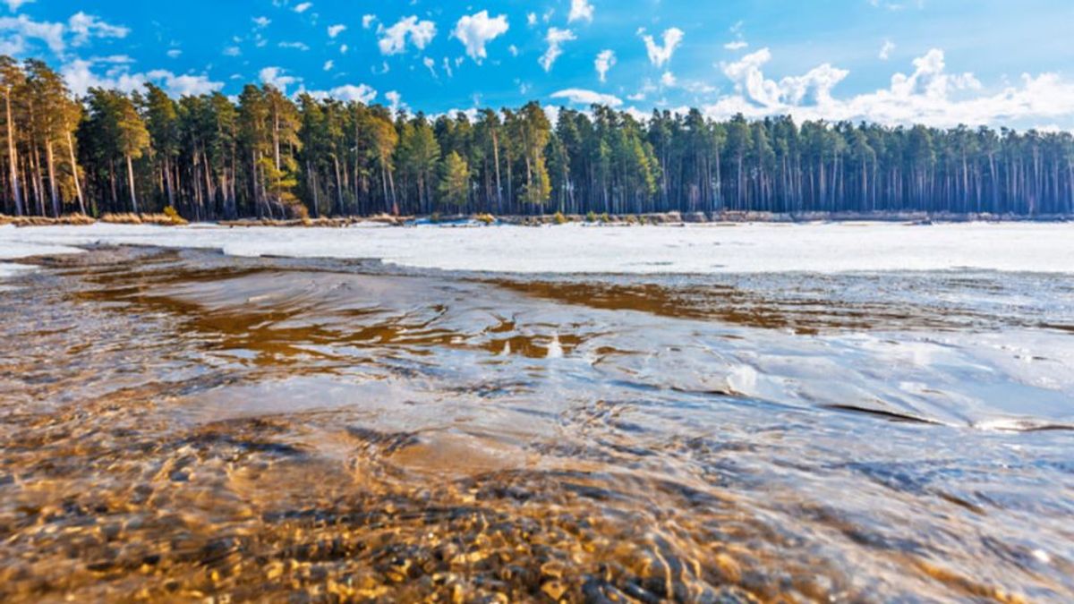 Siberia eleva su temperatura 10 grados de media y el mundo vive su mayo más caluroso