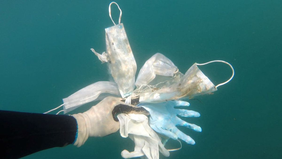 Tsunami de guantes y mascarillas en el mar: "Pronto superarán a las medusas", aseguran los ecologistas