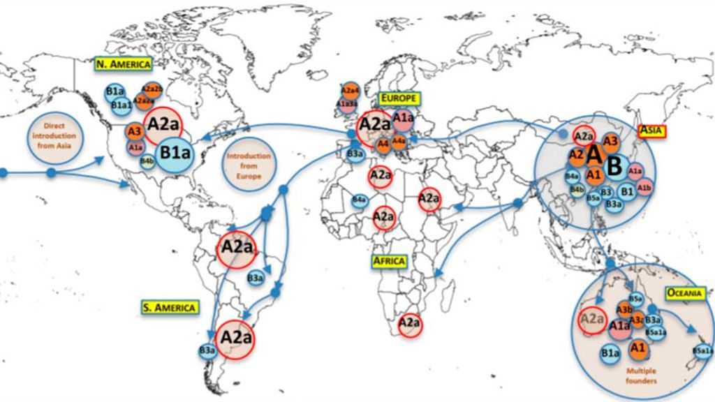 Mapa-coronavirus-Antonio-Salas