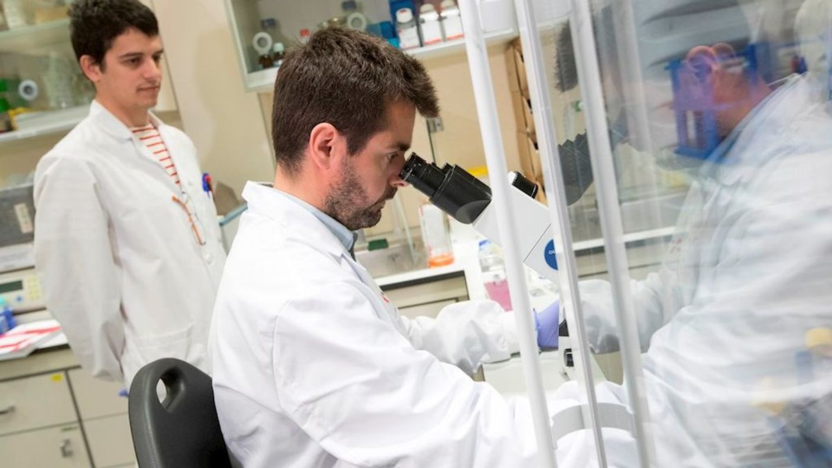 Dos hospitales españoles investigan la respuesta inmunitaria a la COVID-19: cómo acabar con la 'tormenta de citoquinas' Dos hospitales españoles investigan la respuesta inmunitaria a la COVID-19: cómo acabar con la 'tormenta de citoquinas'