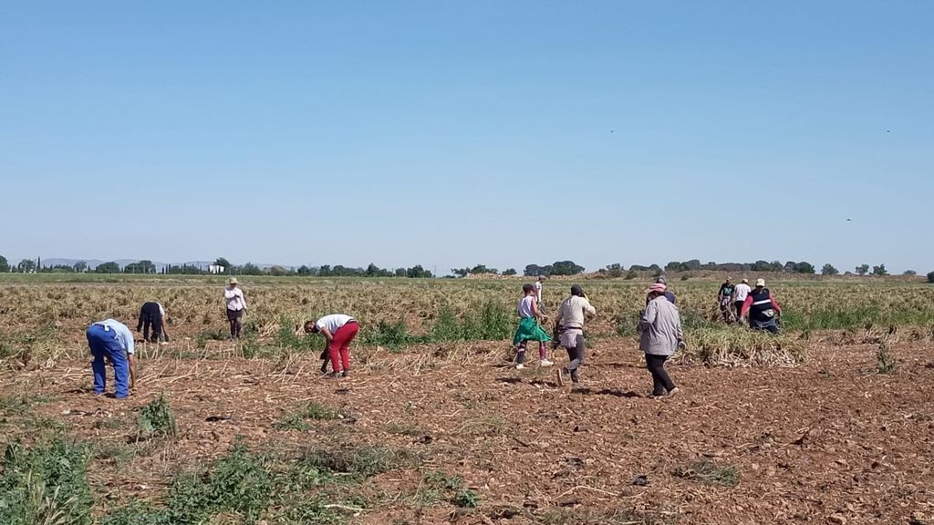 Marruecos iniciará este jueves la repatriación de los marroquíes atrapados en España por la pandemia Marruecos iniciará este jueves la repatriación de los marroquíes atrapados en España por la pandemia