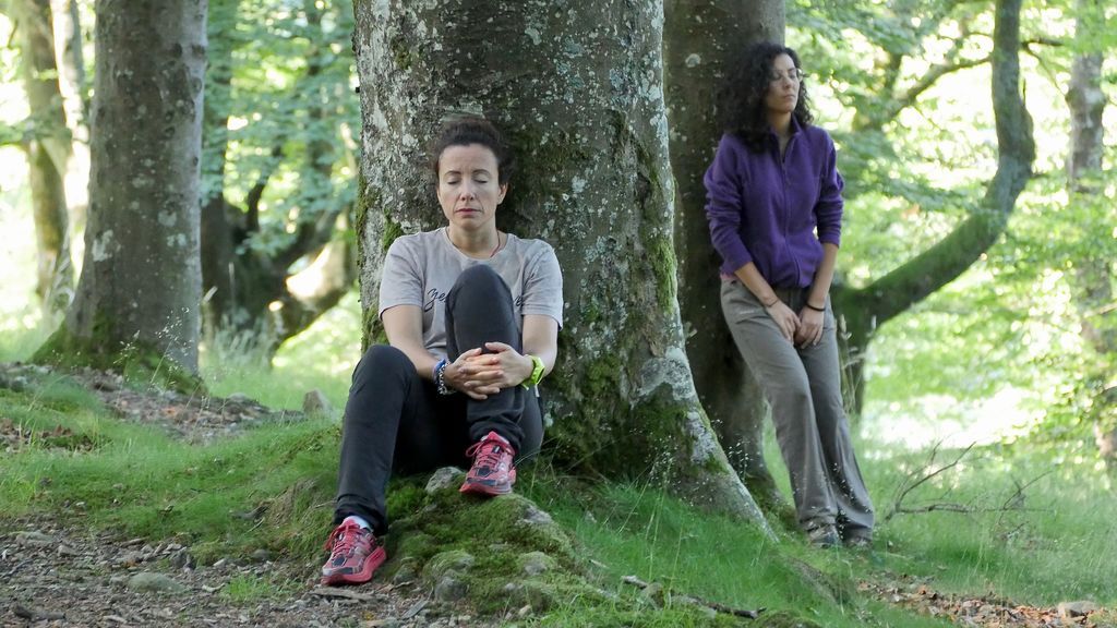 Baños de bosque: árboles que curan emociones y sentidos