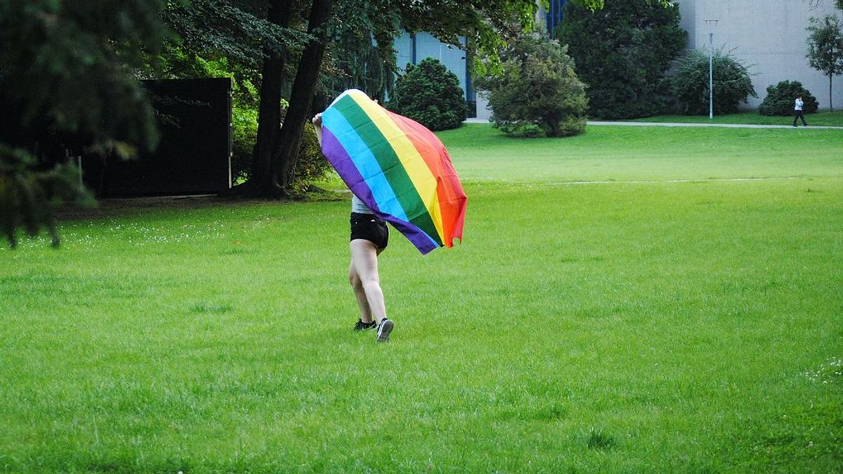 Más que gays y lesbianas: orientaciones e identidades sexuales dentro de la comunidad LGTB+