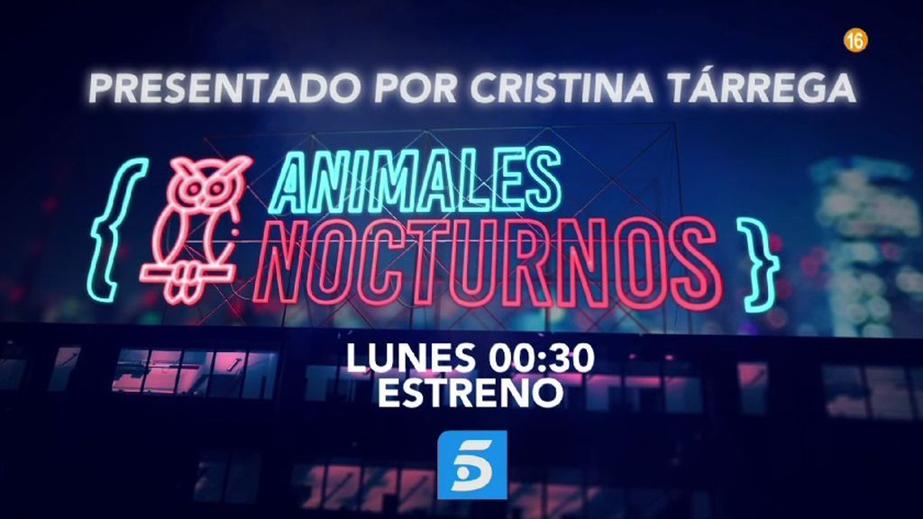 Promo animales nocturnos