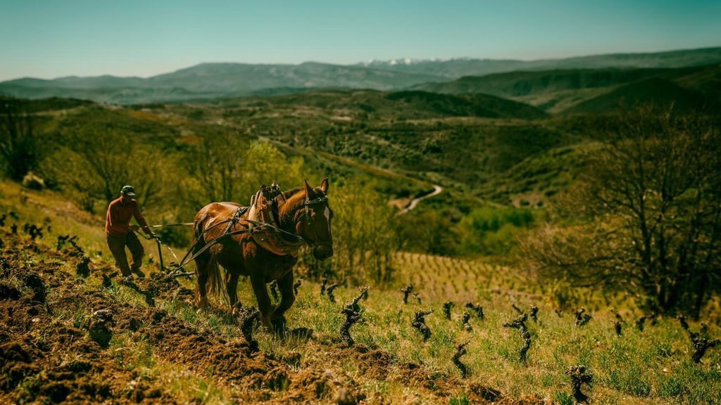 Trabajo en el campo