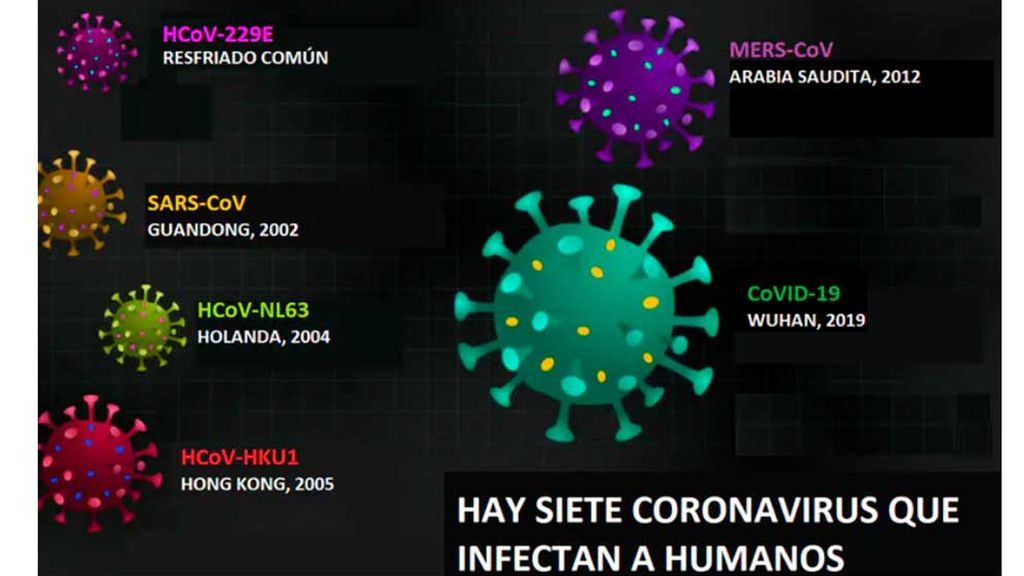 Graf-The-conversation-3-diferentes-coronavirus-Ok
