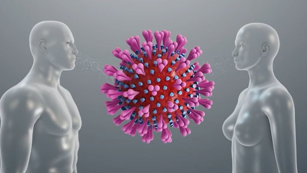 El recuerdo de defensas previas podría ayudar a combatir el coronavirus