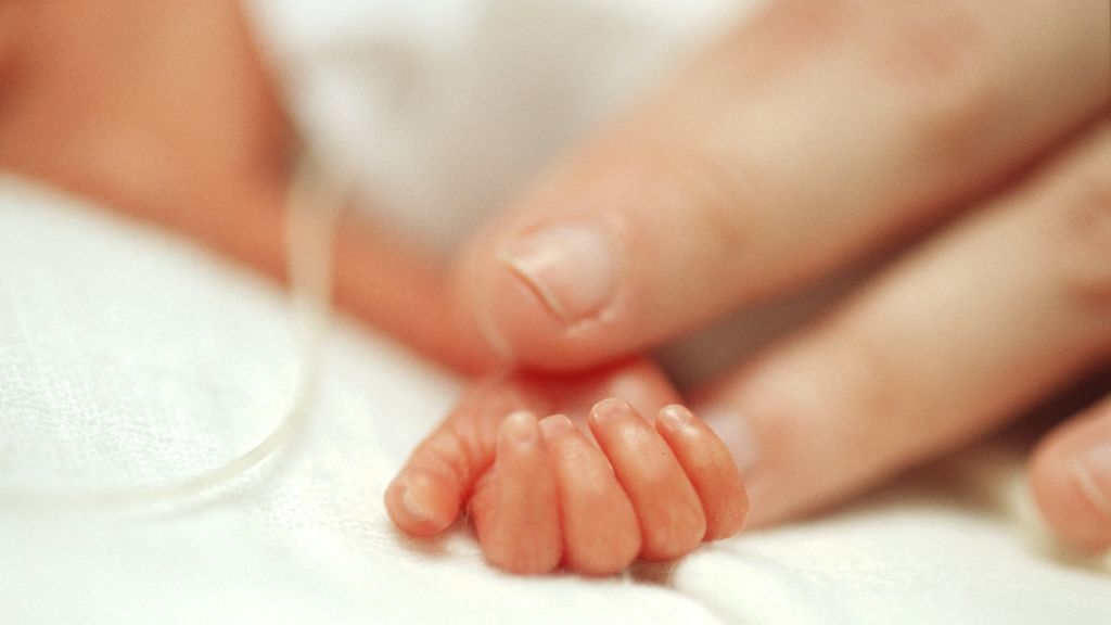 mano-prematuros-cordonpress