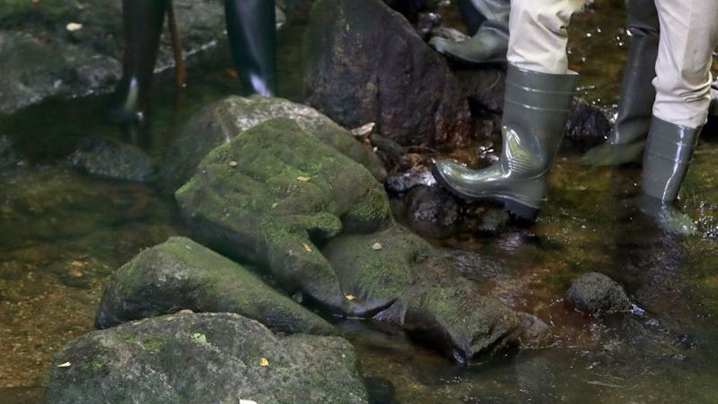 Escultura encontrada en el río