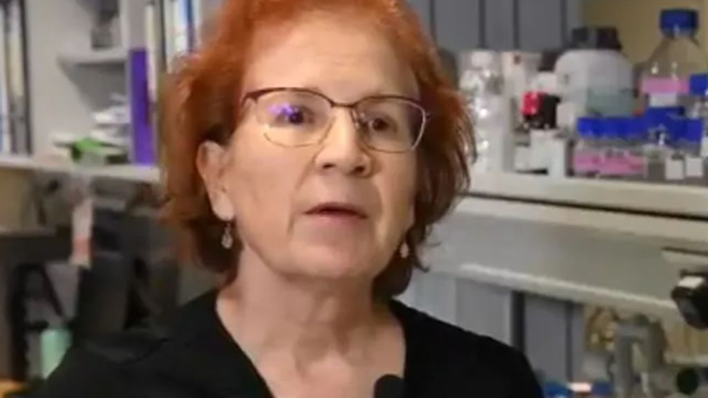 Margarita del Val, viróloga del CSIC: "La segunda oleada de coronavirus puede llegar en julio y no en octubre" Margarita del Val, viróloga del CSIC: "La segunda oleada de coronavirus puede llegar en julio y no en octubre"
