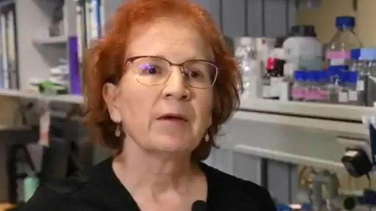 Margarita del Val, viróloga del CSIC: "La segunda oleada de coronavirus puede llegar en julio y no en octubre"