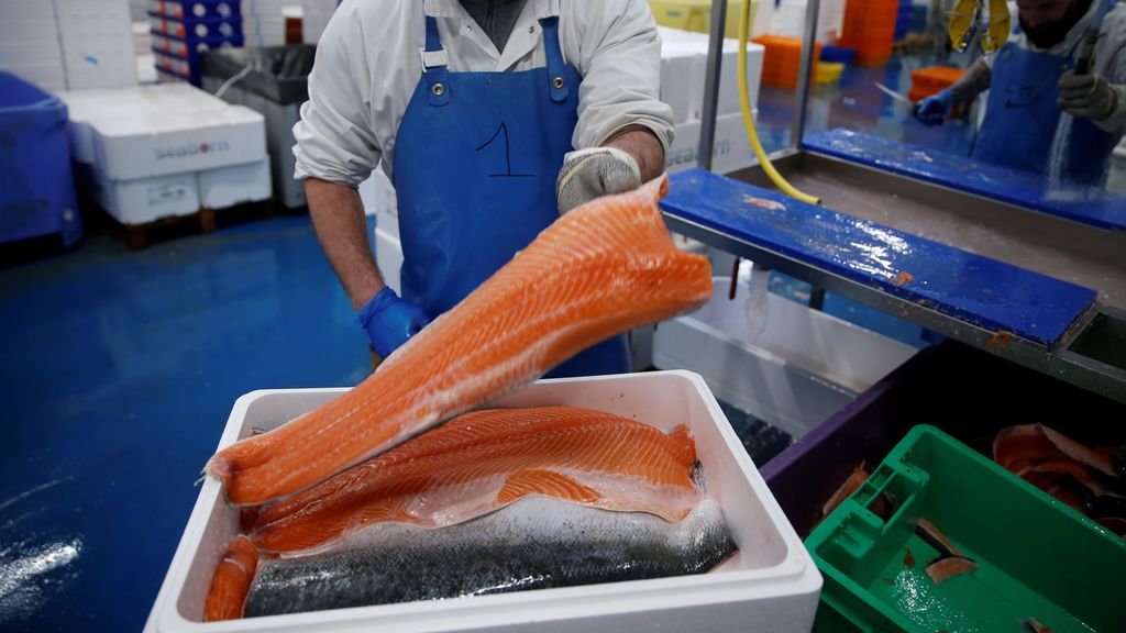 ¿Puede el salmón contagiar el coronavirus? Así se investiga el peor rebrote en Pekín ¿Puede el salmón contagiar el coronavirus? Así se investiga el peor rebrote en Pekín