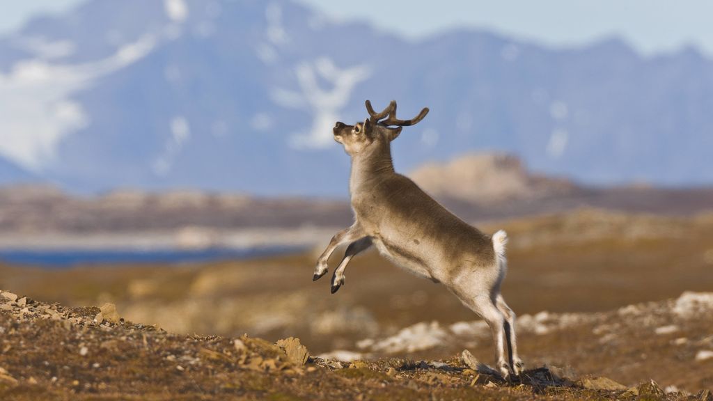 A 15ºC en Asturias y a 30ºC en Oslo: los motivos por los que se han invertido las temperaturas A 15ºC en Asturias y a 30ºC en Oslo: los motivos por los que se han invertido las temperaturas