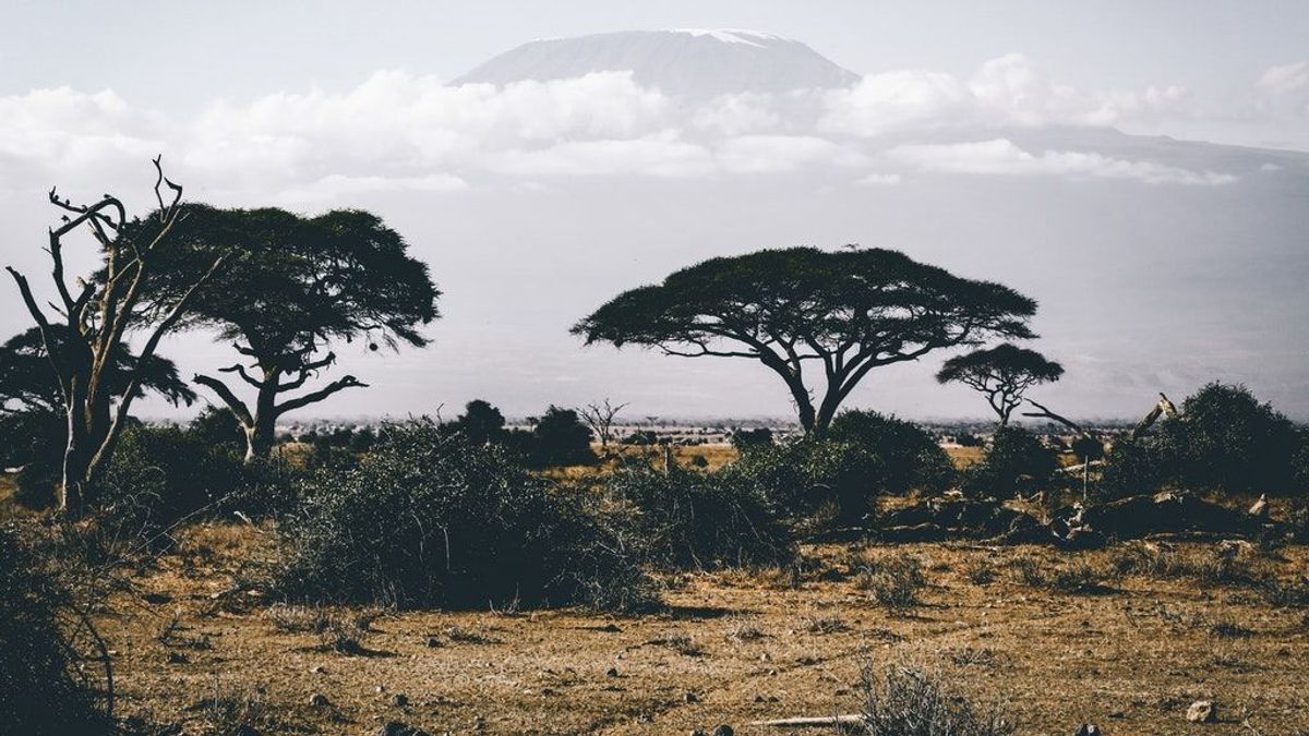 Safaris sostenibles: aventura a los 50 cuidando del planeta