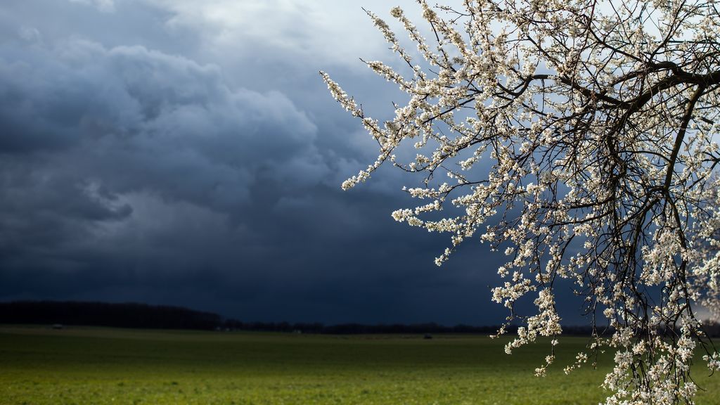 Vaguada en el norte y borrasca frente a Canarias: últimas tormentas de la primavera muy repartidas Vaguada en el norte y borrasca frente a Canarias: últimas tormentas de la primavera muy repartidas