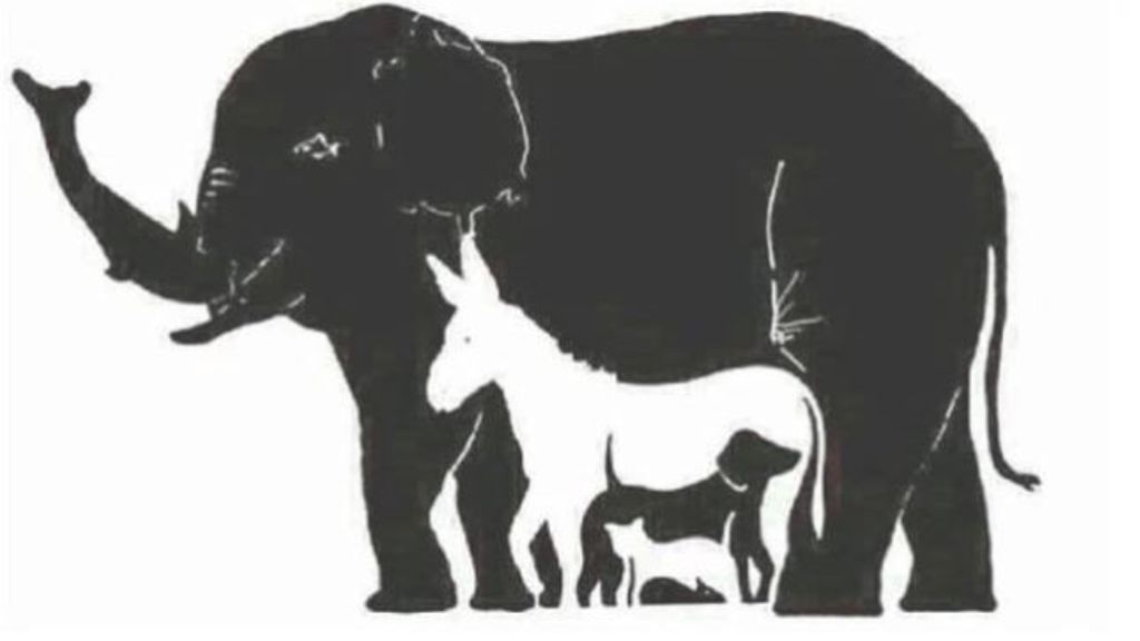 ¿Qué animales ves en este dibujo?