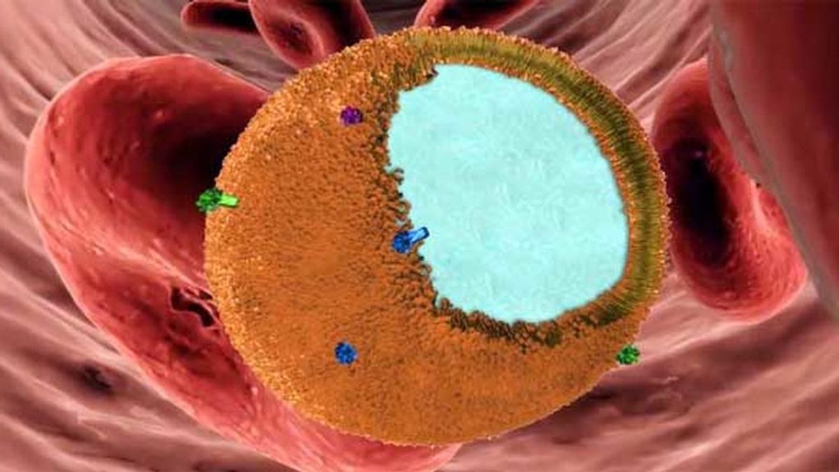 Diseñan un ejército de nanoesponjas capaces de frenar la infección del coronavirus al 93%