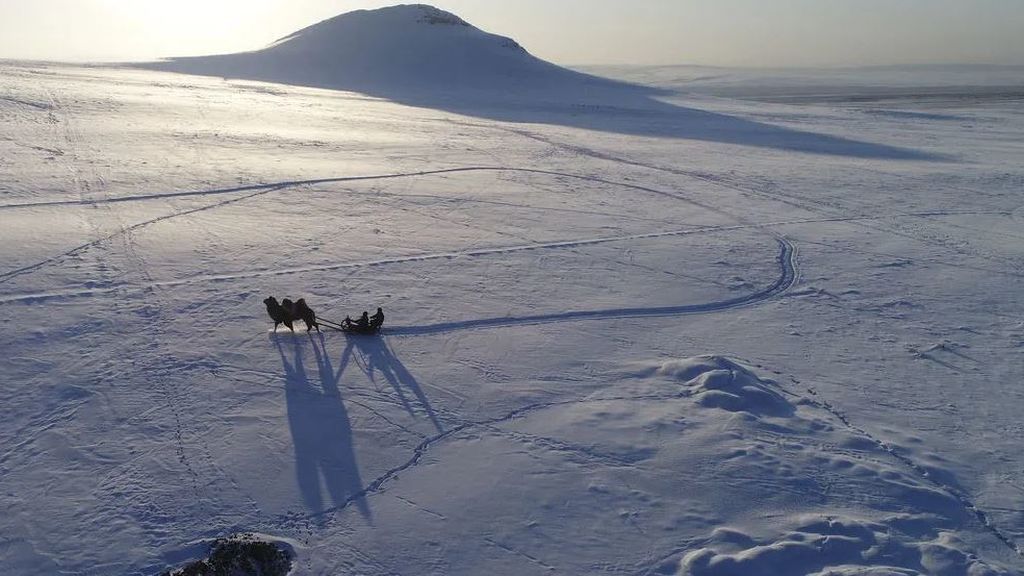 La ola de calor en Siberia con temperaturas de récord dispara todas las alarmas climáticas