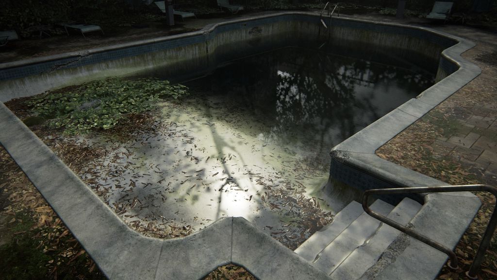 The Last of Us™ Parte II piscina