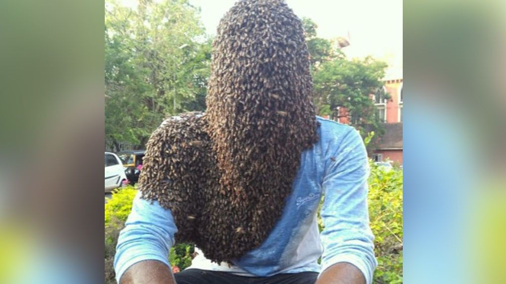 Un joven indio deja que 60.000 abejas cubran su rostro: "Son mis mejores amigos" Un joven indio deja que 60.000 abejas cubran su rostro: "Son mis mejores amigos"