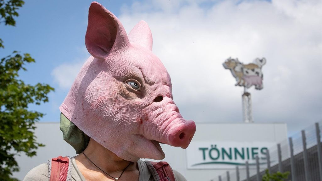 Los trabajadores contagiados por Covid-19 en un matadero de Alemania superan el millar Los trabajadores contagiados por Covid-19 en un matadero de Alemania superan el millar