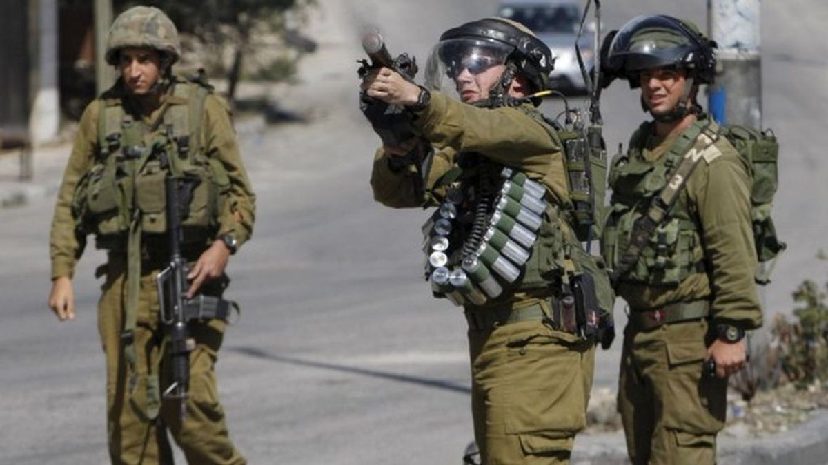 Denuncian el uso de animales en pruebas de armamento secretas del Ejército israelí