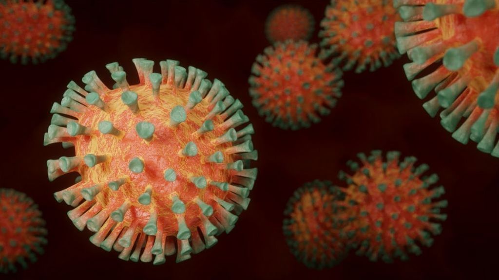 Los 'virus' del virus: el CSIC investiga un fármaco a partir de los parásitos del coronavirus Los 'virus' del virus: el CSIC investiga un fármaco a partir de los parásitos del coronavirus