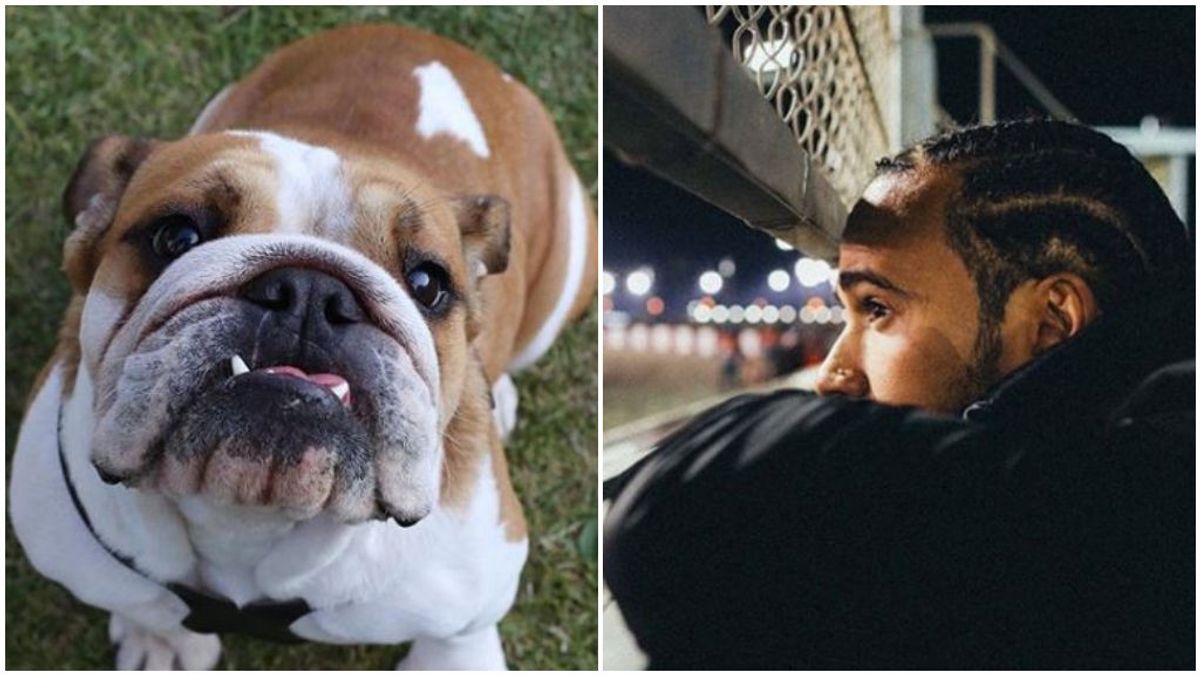 Lewis Hamilton, junto a su perra Coco. Lewis Hamilton, junto a su perra Coco.