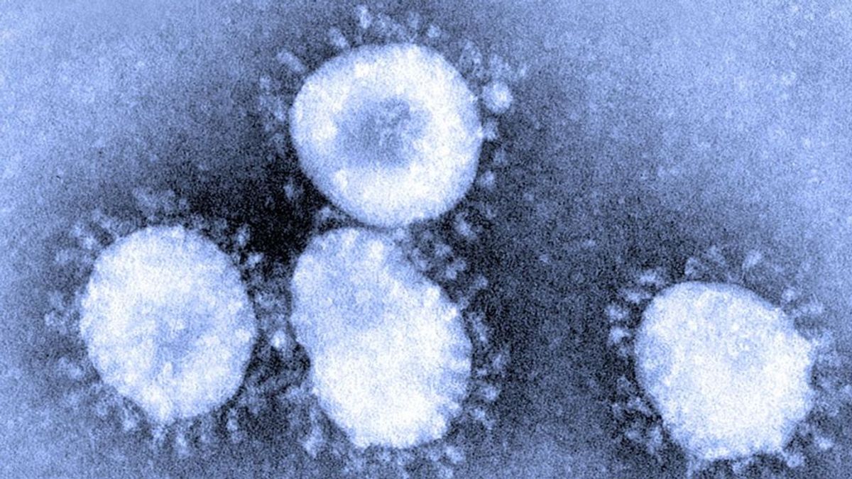 Investigadores españoles trabajan con parásitos del coronavirus para destruirlo
