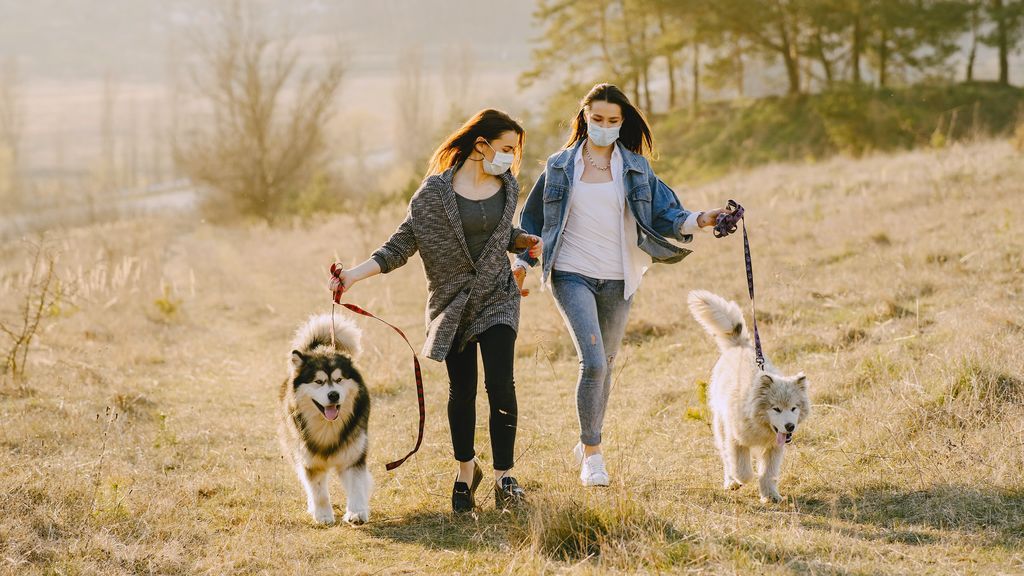 Dos amigas paseando a sus perros con mascarillas