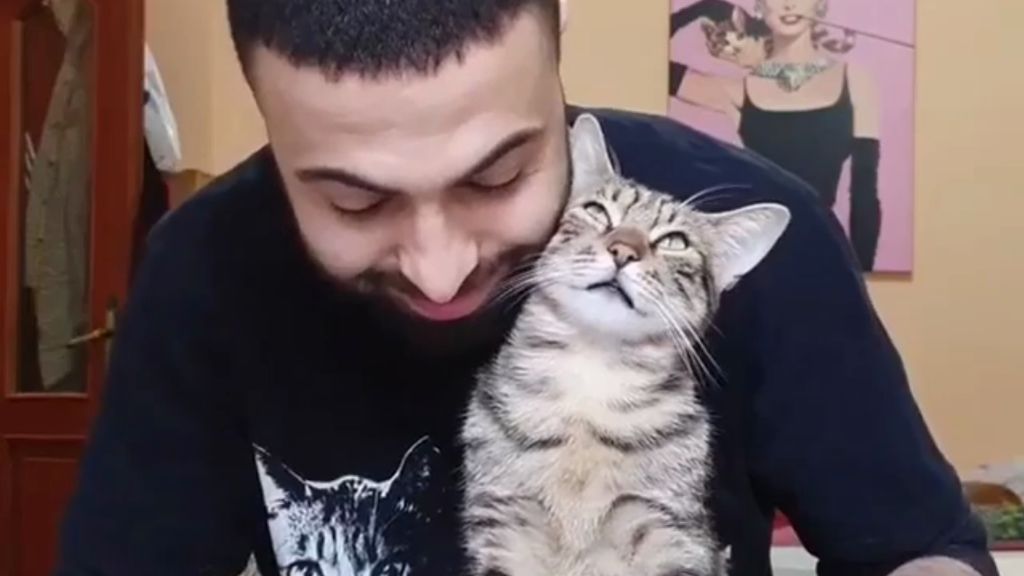 Un chico abrazando a su gato paciente