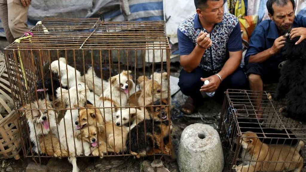 Mercado de Yulin con perros a la venta, destinados a su consumo