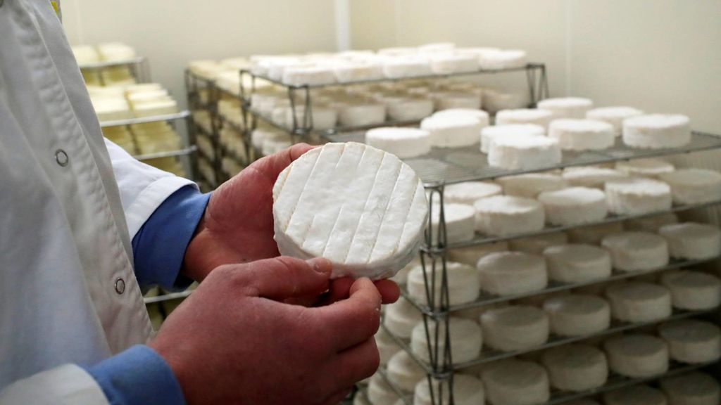 Trucos para conservar el queso más tiempo - Telecinco