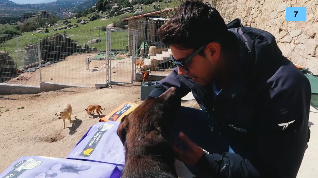 Diego Matamoros muestra su amor por los perros con una visita a una protectora (2/2)