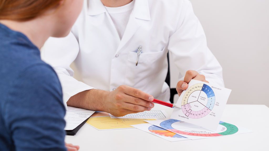 ¿Qué es la fase lútea y cómo afecta a la fertilidad?