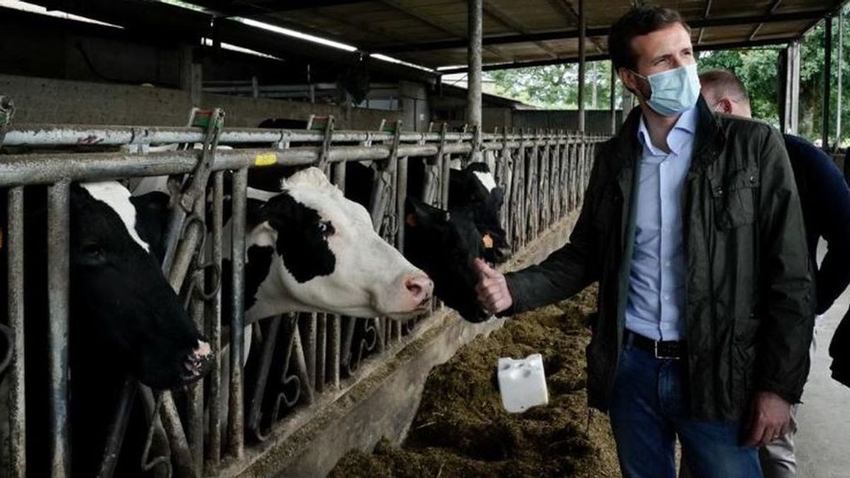 A Casado le preocupa que Sánchez esté "tan enfadado y crispado" A Casado le preocupa que Sánchez esté "tan enfadado y crispado"