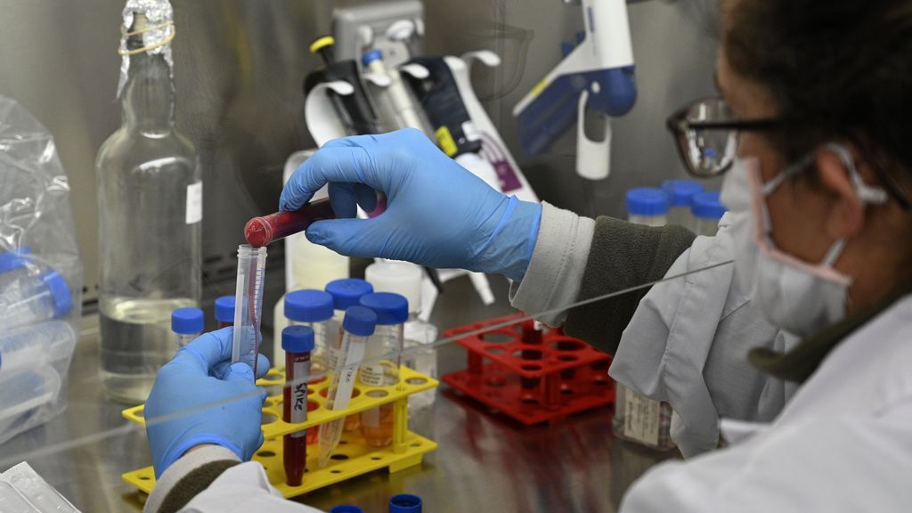 El Gobierno defiende la investigación de la vacuna en España aunque otros países la consigan primero El Gobierno defiende la investigación de la vacuna en España aunque otros países la consigan primero