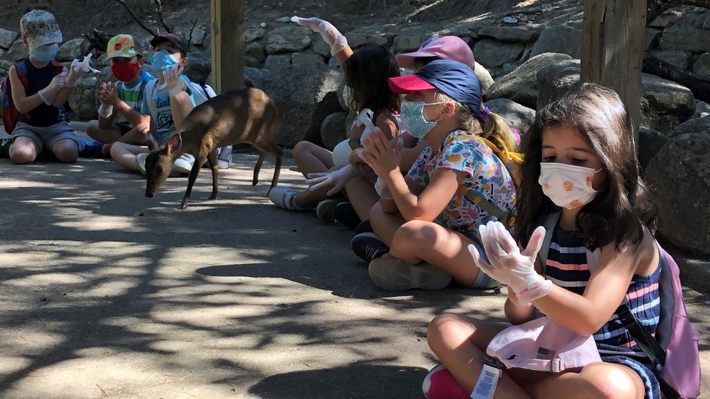 Guille, 6 años: "Estaba deseando venir de campamento, en casa me aburría más que un burro" Guille, 6 años: "Estaba deseando venir de campamento, en casa me aburría más que un burro"