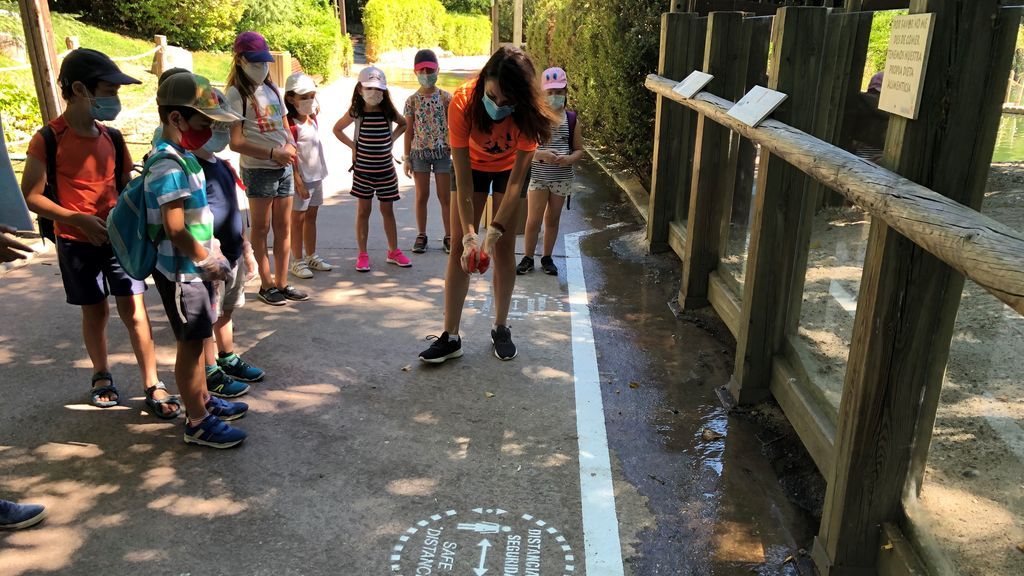 FAUNIA CAMPAMENTO